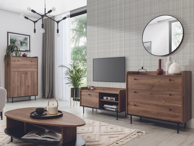 TV-Lowboard mit Türe 100 cm Vasa Braun