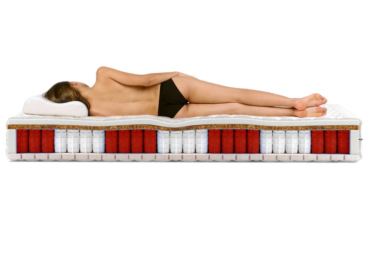 Taschenfederkernmatratze Multipocket mit hochflexiblem HR- und Visco-Schaum Avione 80x200