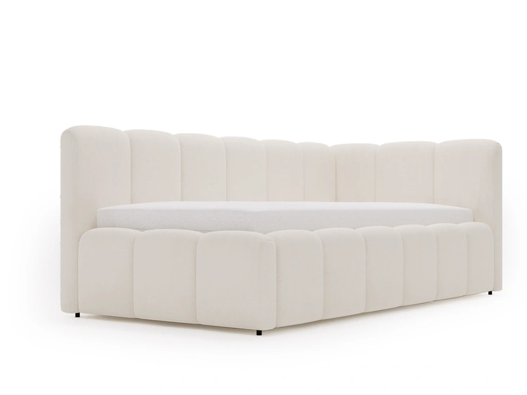 Beige \ Samt \ Prawa