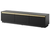 TV-Lowboard mit Türen Roland Schwarz