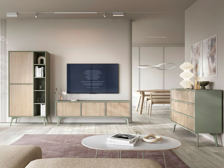 TV-Lowboard mit Türen Modena Grün