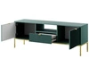 TV-Lowboard mit Schublade und Türen Amber Grün, Gold Frame