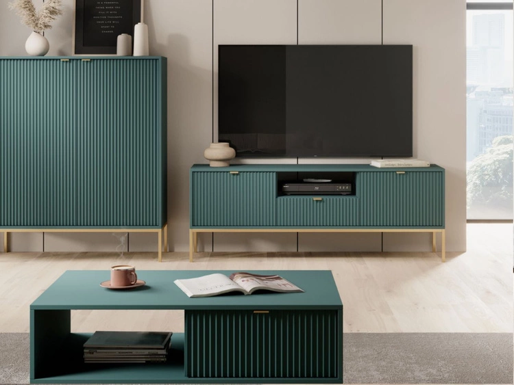 TV-Lowboard mit Schublade und Türen Amber Grün, Gold Frame