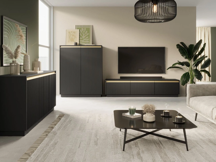 TV-Lowboard mit Türen Roland Schwarz