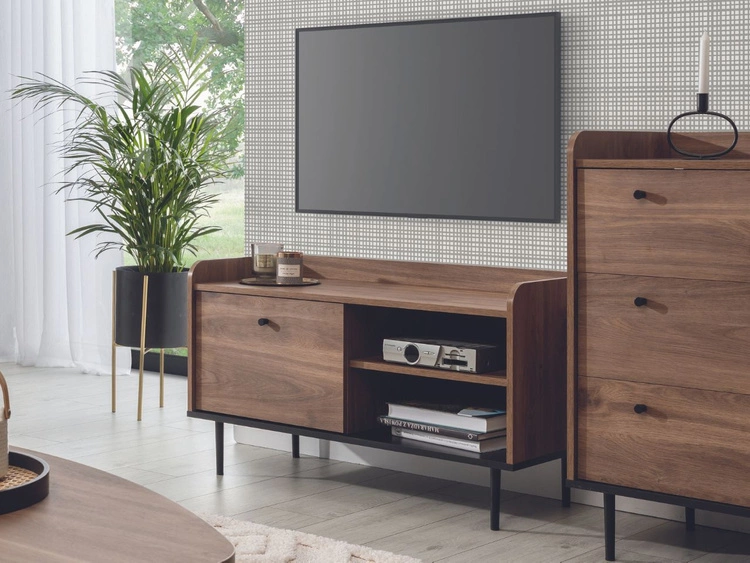 TV-Lowboard mit Türe 100 cm Vasa Braun